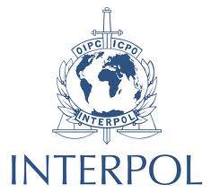 1131_interpol